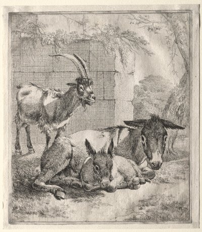 Goat and Donkeys by Johann Heinrich Roos