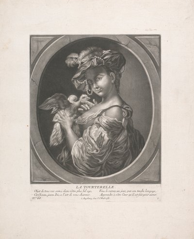 The Turtledove by Johann Jacobus Haid