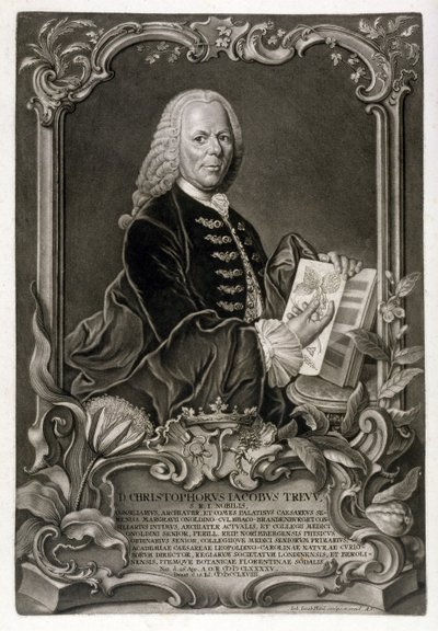 C. J. Trew, Botanist by Johann Jakob Haid