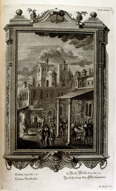 Illustration by Johann Jakob Scheuchzer