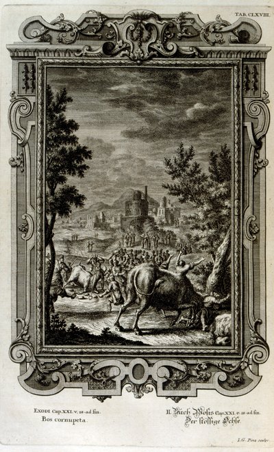 Sacrificing wild bulls by Johann Jakob Scheuchzer