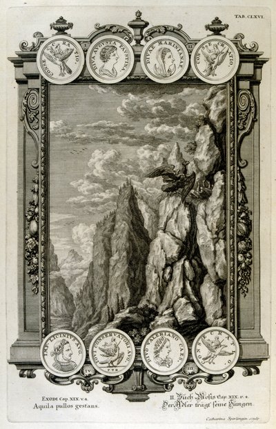 Zeus Symbolised as an Eagle by Johann Jakob Scheuchzer