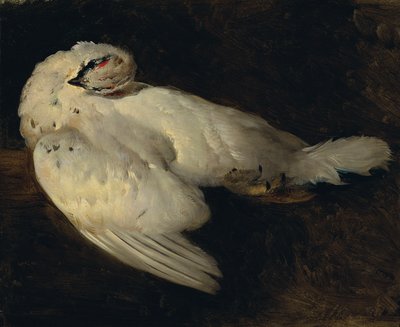 Dead Ptarmigan by Johann Matthias Ranftl
