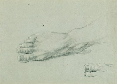 Foot Study for 