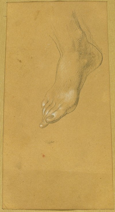 Foot Study for 