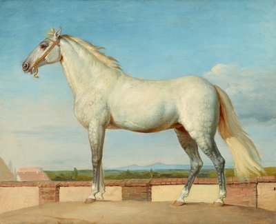 White Horse in Front of a Low Wall by Johann Peter Krafft