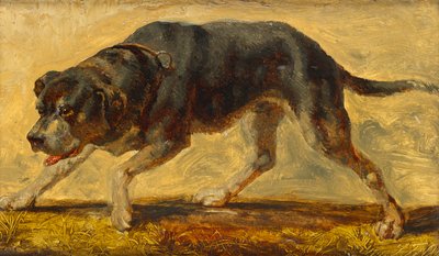 Dog Study by Johann  Till der Jüngere