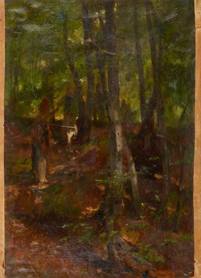 Forest Landscape by Johann  Till der Jüngere