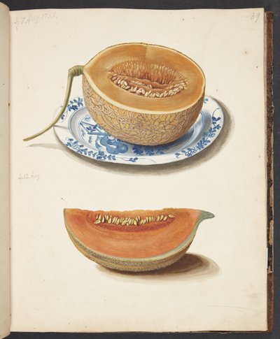 Study of Two Net Melons, Halved and Quartered by Johanna Fosie