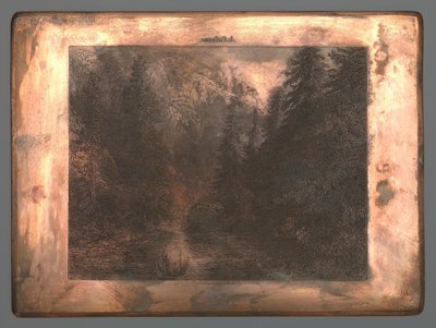 Mountain river between trees by Johannes Arnoldus Boland