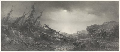 After the Storm by Johannes Hilverdink
