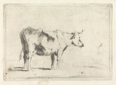 Cow, Facing Right by Johannes Janson (possibly)