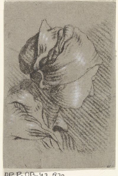 Bust of a Woman by Johannes Janson (possibly)