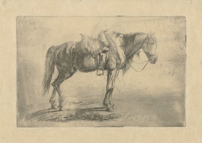 Saddled Horse Facing Right by Johannes Mock