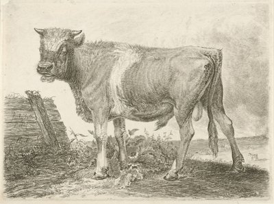 Bull by Johannes Mock