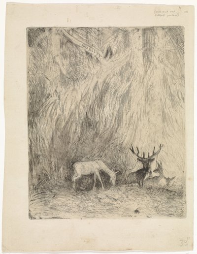 Deer in a Bohemian Forest by Johannes Tavenraat