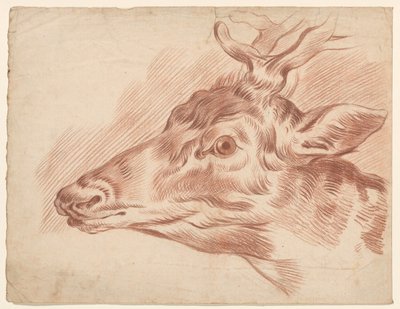 Head of a Deer, Facing Left by Johannes Tavenraat