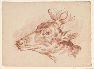 Head of a Deer, Facing Left by Johannes Tavenraat
