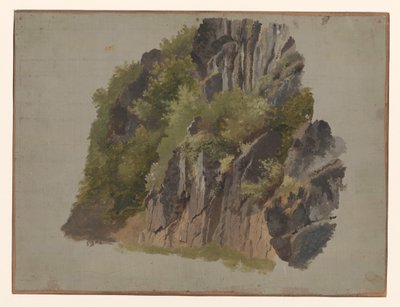 Rocks and Vegetation by Johannes Tavenraat