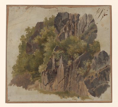 Rocks and Vegetation by Johannes Tavenraat