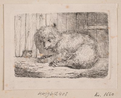 A Long-haired Dog by Johannes Wilhelm Zillen