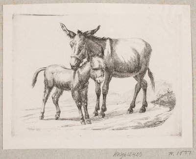 A Donkey with Its Foal by Johannes Wilhelm Zillen