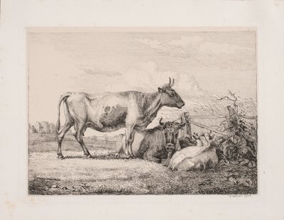 Cows in the Field by Johannes Wilhelm Zillen