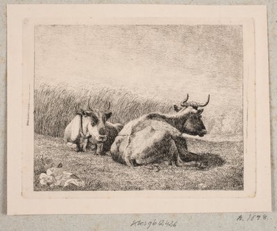 Two Resting Cows by Johannes Wilhelm Zillen