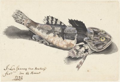 Sea Scorpion by Johannes le Francq van Berkhey