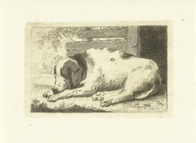 Sleeping Dog by Johannes van Cuylenburgh