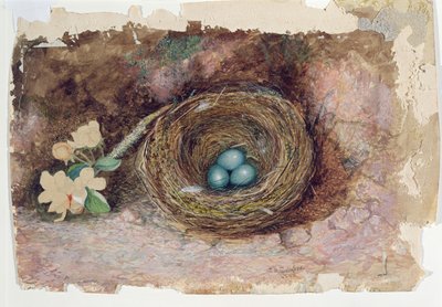 Birds Nest by John Atkinson Grimshaw