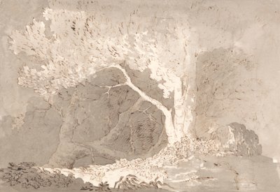 Tree Study by John Baverstock Knight
