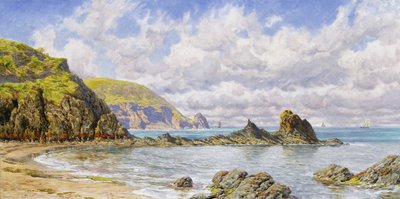 Forest Cove, Cardigan Bay by John Brett