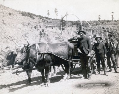 Gold Fever in South Dakota by John C. H. Grabill