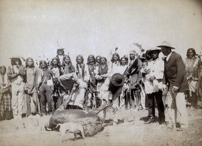Skinning Beef, 1891 by John C. H. Grabill