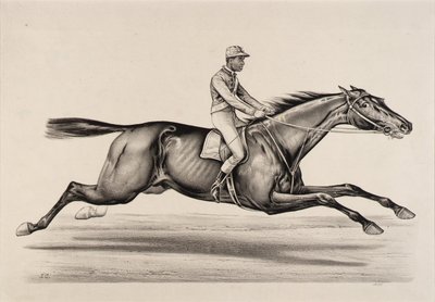 Emperor of Norfolk by John Cameron