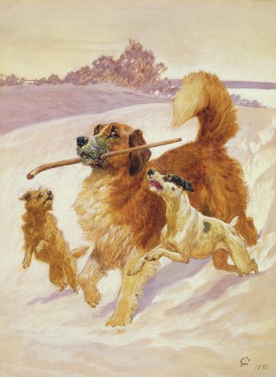 Three Dogs Playing in the Snow, 1881 by John Charlton