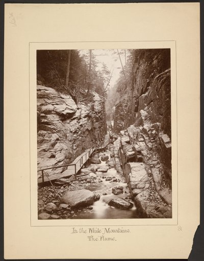 In the White Mountains: The Flume by John Coates Browne