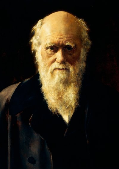 Portrait of Charles Darwin by John Collier