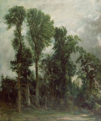 Trees at Hampstead by John Constable