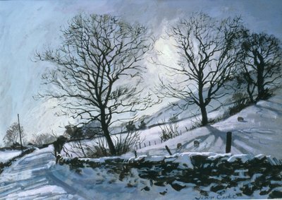 Winter Afternoon in Dentdale by John Cooke