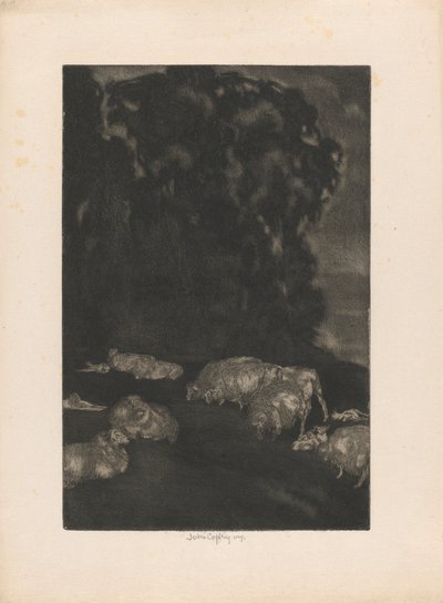 Sheep in Twilight by John Copley