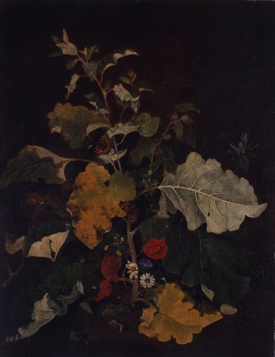 Study of a Burdock by John Crome