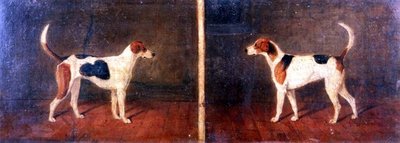 Two Foxhounds in Interiors by John Dalby