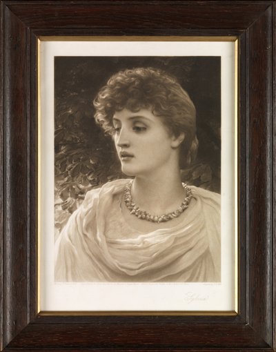 Sylvia by John Douglas Miller