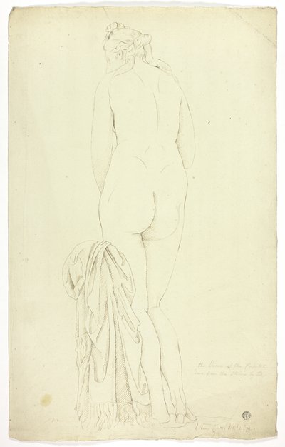 Capitoline Venus by John Downman