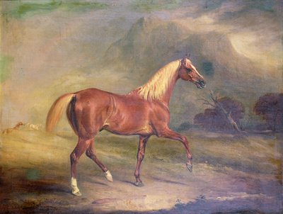 Chestnut Arab Stallion by John E. Ferneley