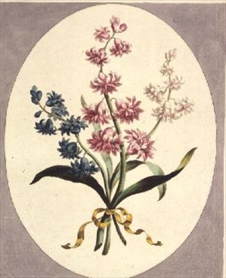 Eastern Hyacinths by John Edwards