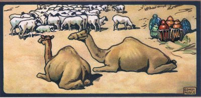 Camels by John Edwin Noble