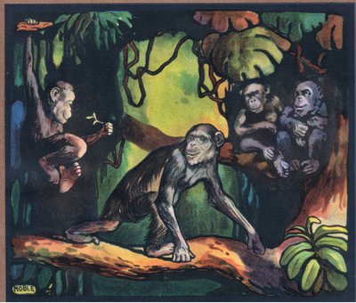 Chimpanzee by John Edwin Noble